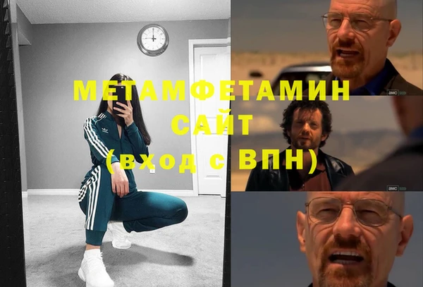 гидра Вязьма